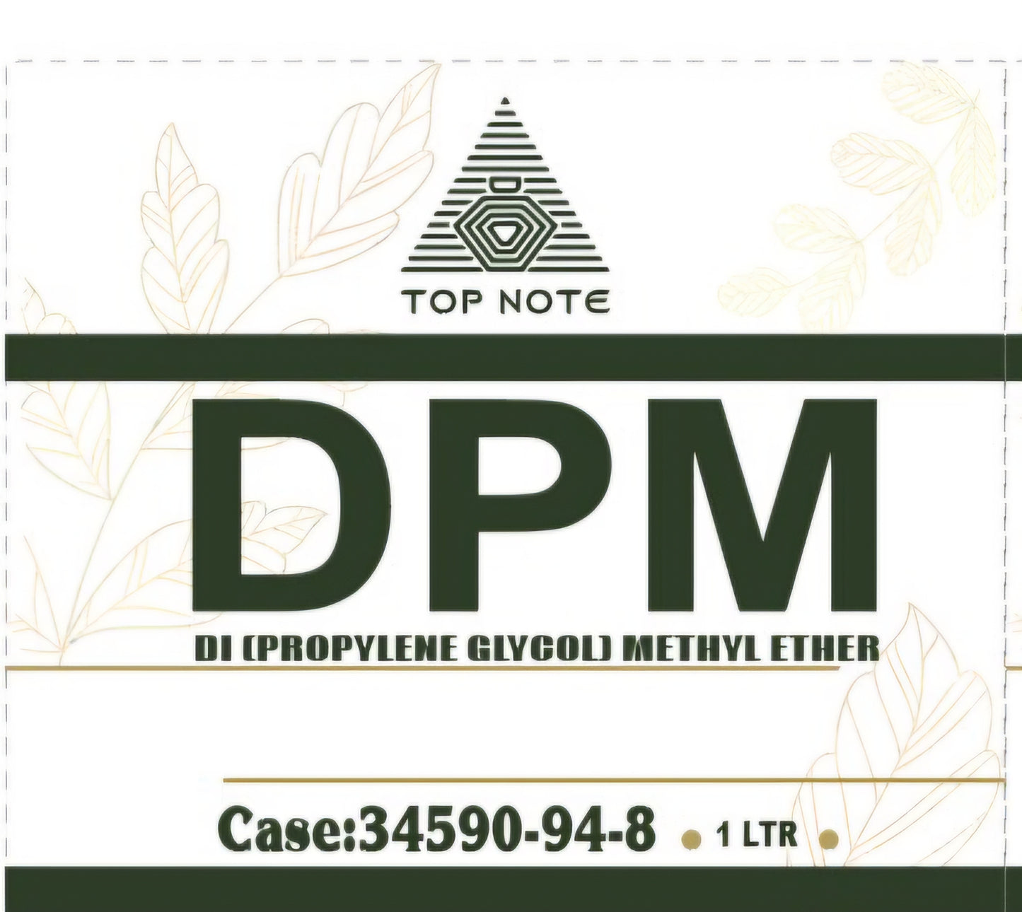 DPM