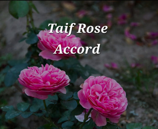 Taif Rose Accord (formula)